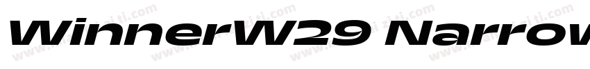 WinnerW29 NarrowBold Regular字体转换